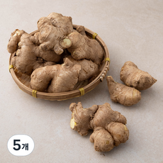 국내산 흙생강, 500g, 5개