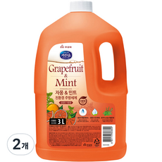 자몽 앤 민트 주방세제, 3L, 2개