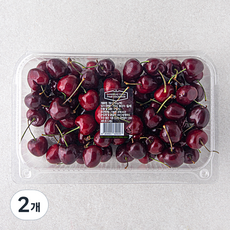 신세계푸드 칠레 체리, 750g, 2개