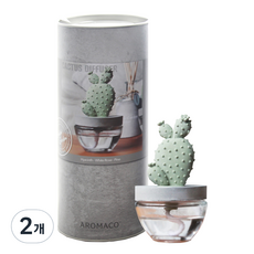 아로마코 선인장 디퓨저