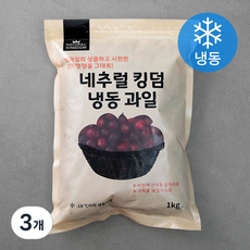 크랜베리 네추럴킹덤 미국산 크랜베리 (냉동) 1kg 3개