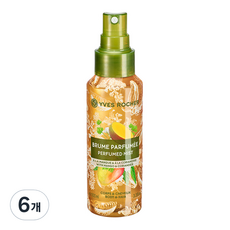 Yves Brocher 香水身體發霧芒果香菜, 100ml, 6瓶