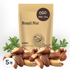 오트리 브라질넛, 120g, 5개
