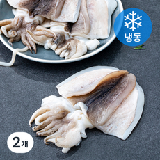 피시원 국내산 손질 갑오징어 3~4미 (냉동), 700g, 2개