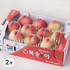 메이빌 GAP 인증 영동 부드러운 백도복숭아 9~12입, 3kg, 2개