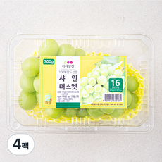 아리당찬 비파괴 당도선별 샤인머스켓, 700g, 4팩