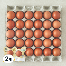 농협 EPC 무항생제 인증 1등급 특란 1.8kg, 2개, 30구