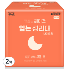 헤이즈 입는 생리대 대형 나이트용