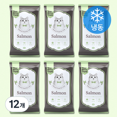 토빈즈챱 고양이 화식사료 (냉동), 50g, 12개, 연어