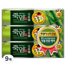 죽염 잇몸고 치약, 120g, 9개