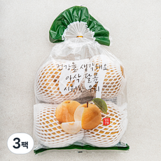 원농산 당도선별 신고배 3~4입, 3팩, 2kg