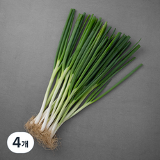 국내산 친환경 흙대파, 800g, 4개