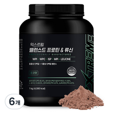 익스트림 밸런스드 프로틴 & 류신 초코맛 복합 파우더, 6개, 1kg