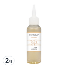 더아름 맑을담 갈락토미세스 원액 에센스 세럼, 100ml, 2개