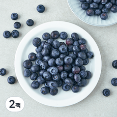 미국산 블루베리, 310g, 2팩