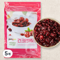 곰곰 건크랜베리, 800g, 5개