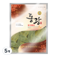 동광종합물산 그라비올라, 100g, 1개입, 5개