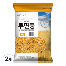 건강한밥상 루핀콩, 2kg, 2개 - 루핀젤클리너