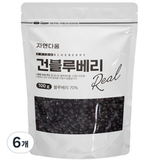 자연다움 건블루베리, 6개, 100g