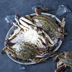 피시원 신진도 산지직송 가을 자망 햇꽃게, 1kg(3~4미), 1개