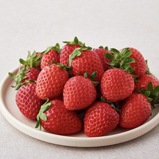 다미팜 금실딸기 중과, 500g, 1팩