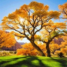 몽글몽글십자수도안