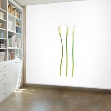 사생활보호스크린