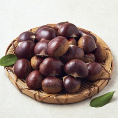 병고밤 특, 1개, 1kg
