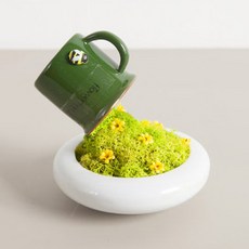 花朵樹木假花Spillskandia花盆, 春綠