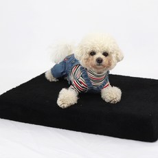 천안원데이클래스애견동반