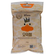 채널스케치 더 킹 오덕쌀, 1개, 4kg