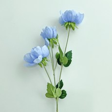베누디 아네모네 조화, 블루, 1개 블루