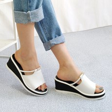 성인통통볼