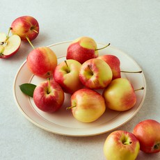 당찬 루비에스 미니 사과, 1개, 800g