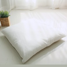 DECOVIEW 坐墊芯, 尺寸: 50x50 公分, 纖維/填充物成分: 100%聚酯纖維, 50 x 50cm, 白色, 1個