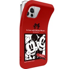 미니디즈니캐슬케이스