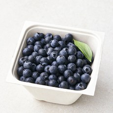 아주마 무농약 인증 산지직송 작아도 맛있는 블루베리, 250g, 1개