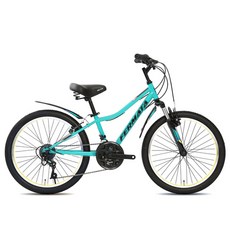 지오닉스자전거