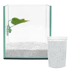 아쿠아테라 베타 유리어항 + 베타침대 + 컬러스톤 1kg CH-G150, 화이트(컬러스톤), 1개