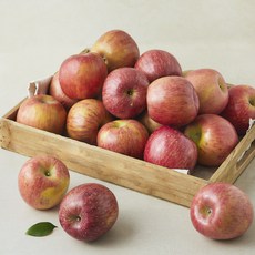과일도감 못난이 빨간사과 주스용, 1개, 5kg(소과, 24~30입)