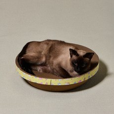 개과천선 고양이 어몽드 글램 스크래쳐, 옐로우 - 소형, 옐로우, 1개