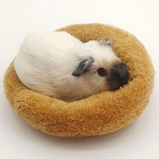 DING DONG PET 小動物窩深睡圓形墊子, 1個, 淺褐色