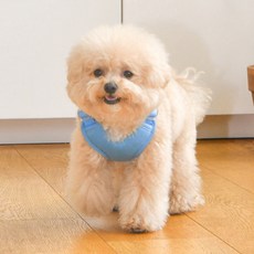 올치 반려동물 심쿵 하트 하네스 HH6605, 스카이블루