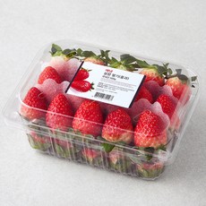 예냉 설향 딸기 중과, 1개, 500g