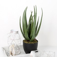 마쉬매리골드 조화 알로에 블랙 포트 57cm, 혼합색상, 1개