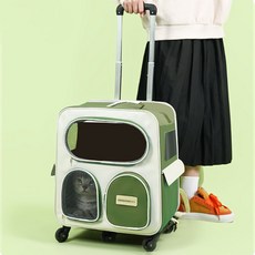 딩동펫 반려동물 미요 메쉬 백팩 이동가방 캐리어 세트, 그린, 1세트