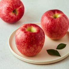 셀렉트팜 GAP 인증 A 제수용 왕사과, 1.2kg(특대과, 3입), 1개
