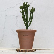 롤랜드스튜디오캡처