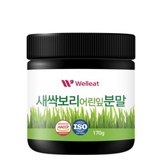 토종마을 Welleat 새싹보리 어린잎분말, 170g, 1개