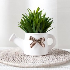 플라워트리 드라세나 주전자 화분 Aset 14cm, 혼합색상, 1개